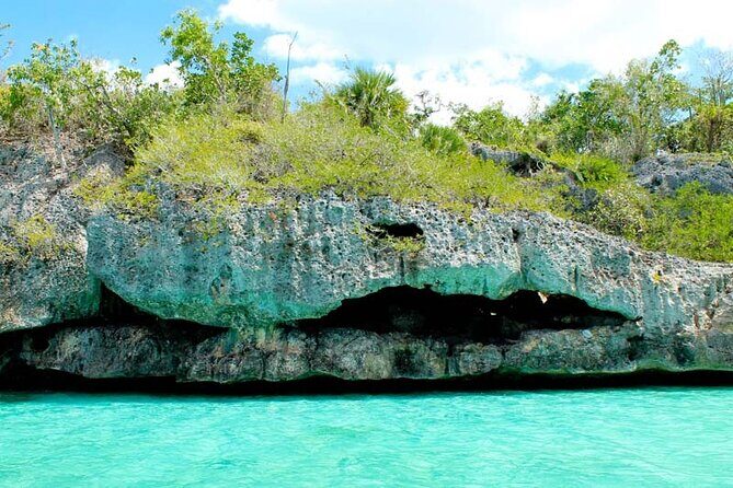 Saona Island Day trip with lunch and transport included. - Lunch, drinks, and what’s actually included