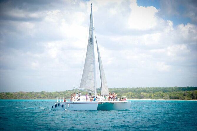 Saona Island Day trip with lunch and transport included. - Isla Saona: how to use your 3.5 hours well