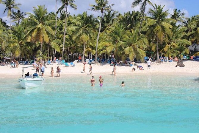 Saona Island Excursion by Catamaran and Speedboat (Full Day) - Quick take: what stands out