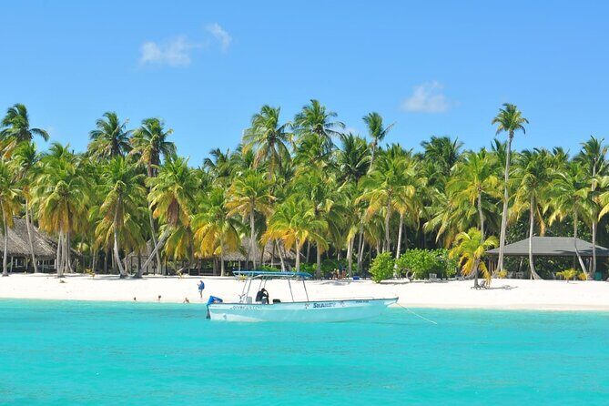 Saona Island Full-Day Tour from Santo Domingo - Key Highlights
