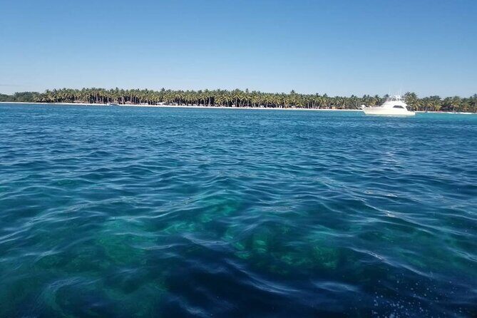 Saona Island Full-Day Tour from Santo Domingo - Natural Pool Stop: The Knee-Deep Swim and Coral Terrace View