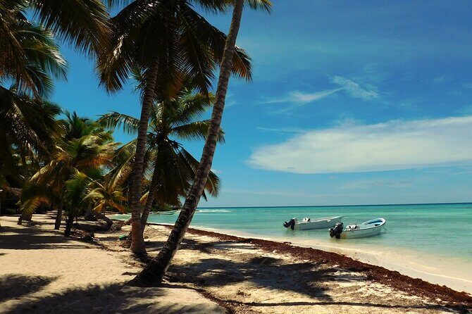 Saona Island Full-Day Tour from Santo Domingo - Price and Value: Is $170 Worth It?