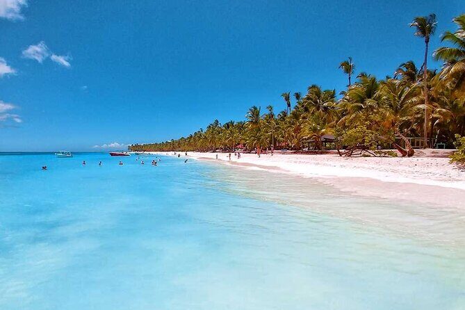 Saona Island Full-Day Tour from Santo Domingo - Isla Saona Beach Time: 4 Hours, Buffet Lunch, and Swim-Friendly Water
