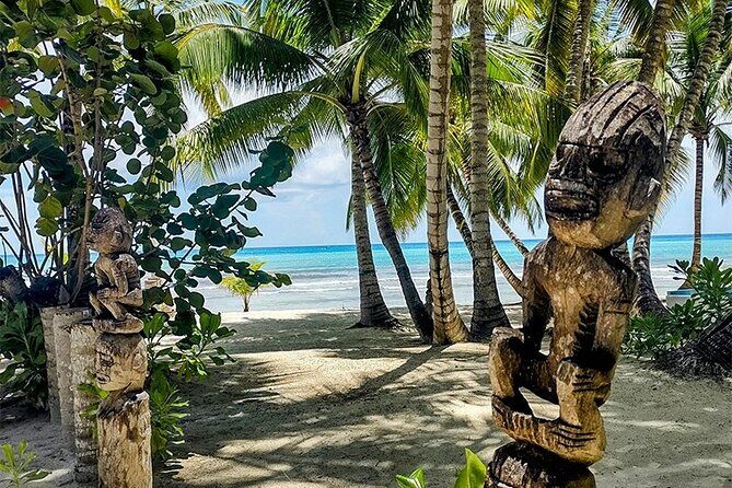 Saona Island Tour from Santo Domingo - Santo Domingo Pickup at Pizzarelli Zona Colonial (The Day Starts Early)