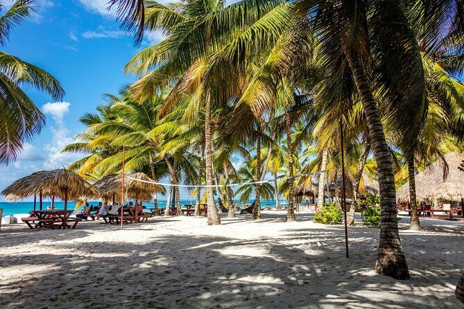 Saona Island Tour from Santo Domingo - Natural Pools at Bayahibe Beach: Easy Water, Big Photo Potential
