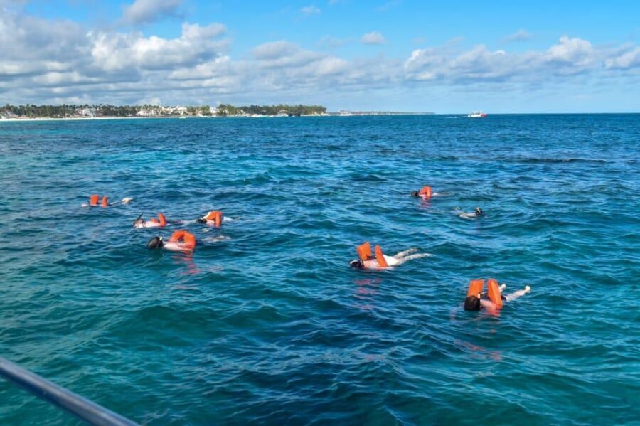 Saona Island Tour From Santo Domingo with Lunch and Pickup - Catamaran return: the 1.5-hour party vibe on the water