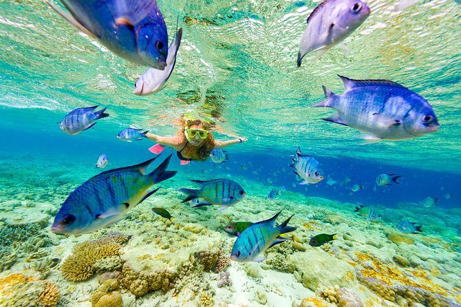 Sharks & Stingrays Encounter and Small Boat Ride from Punta Cana - Key things to know before you go