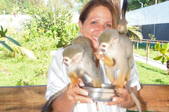 Shore Excursion Monkey Encounter and Puerto Plata City Tour - Malecon Ocean Photo Stops and La Puntilla Amphitheater