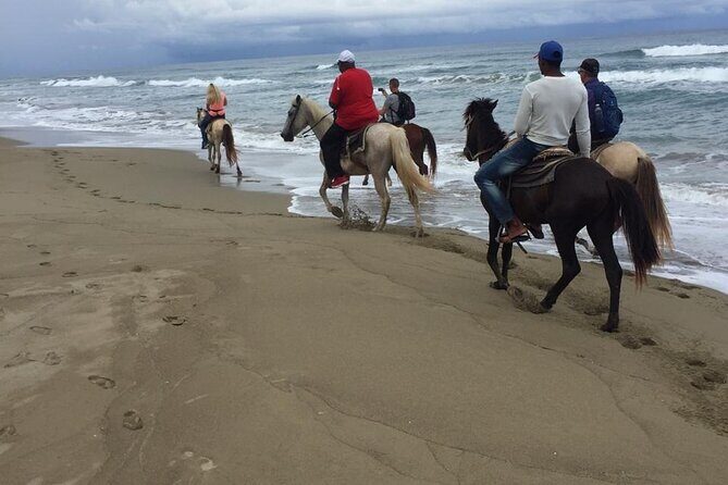 Short Excursion horseback riding tours on the beach and mountain - Meeting Tony Tours by AMGMT in Cabarete: Pickup, Small Group, Mobile Ticket