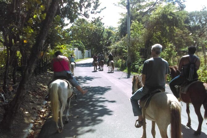 Short Excursion horseback riding tours on the beach and mountain - The Main Ride: La Boca de Yasica and the Beach-to-Mountain Views Near Colonia