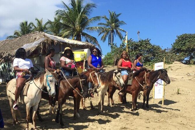 Short Excursion horseback riding tours on the beach and mountain - Price and Value: What $85 Buys in Cabarete