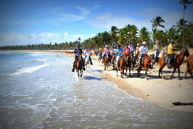 Small-Group Half-Day Horseback Riding Tour from Punta Cana - Key takeaways before you saddle up