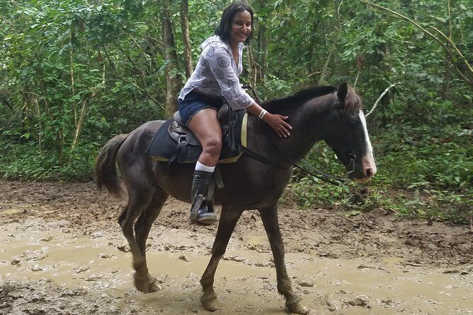 Small-Group Half-Day Horseback Riding Tour from Punta Cana - Why this half-day horseback ride in Uvero Alto works