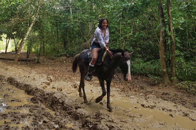 Small-Group Half-Day Horseback Riding Tour from Punta Cana - The beach ride itself: what the shoreline riding is really like