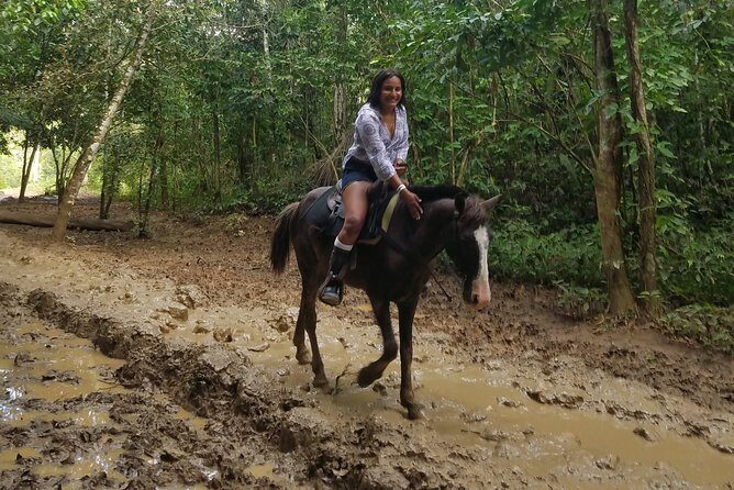 Small-Group Half-Day Horseback Riding Tour from Punta Cana - Getting from Bávaro to the beach: pickup, timing, and group size