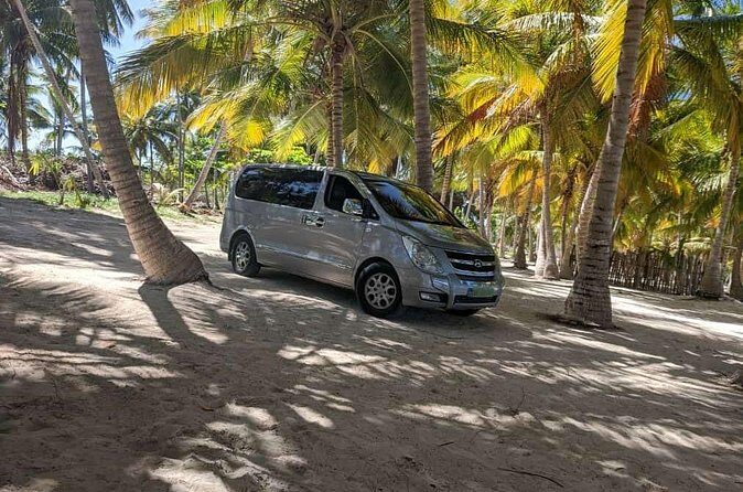 Transportation from PUJ Airport to Bavaro and Punta Cana - Your driver: bilingual, trained, and safety-focused