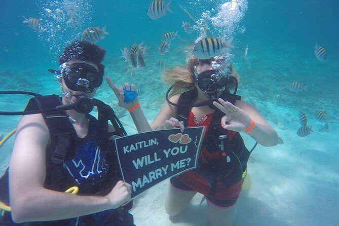 Underwater Marriage Proposal - Price: Is $800 Worth It for Up to Two?