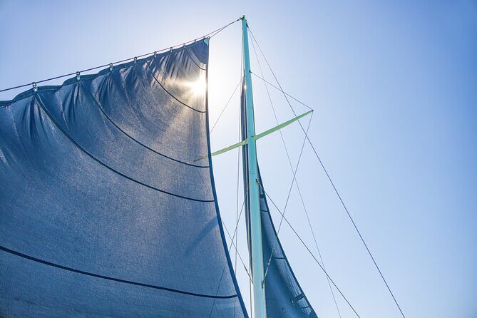 Up to 15 passengers Private Catamaran Sailing from Punta Cana - Price and value: how $900 per group stacks up in Punta Cana