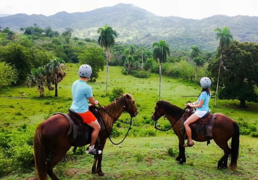 VIP DayPass | ATV's, Zip Lines, Horse Riding| Hotel & Cruise - Zip lines: eight ACCT-certified rides and a safety-first setup