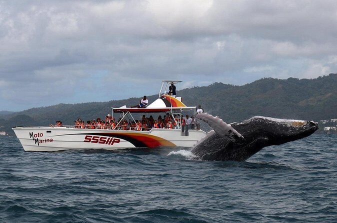 Whale watch tour from Santo Domingo with Bacardi Island and lunch included - Santa Bárbara de Samaná: A Quick Taste Before the Water