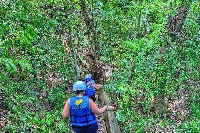 Zipline with Waterfalls and Lunch, Amber Cove and Taino Bay - Damajagua Waterfalls: The Hike, the Pools, and the Big Payoff